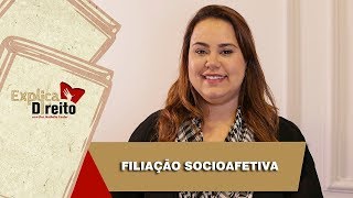 Explica Direito Filiação Socioafetiva  2019 [upl. by Ennayhc]