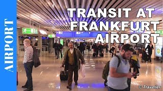 TRANSIT WALK AT FRANKFURT Airport FRA Terminal 1  Connection Flight Transfer Arriving amp Departing [upl. by Lennahc]